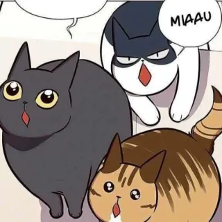 🥺 MIAAU 고양이, 새끼 고양이, 귀여운, 애완 동물, 동물, 만화, 가축 telegram sticker