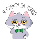 👀 gato, adesivo, desenho animado, animal, fofo whatsapp sticker