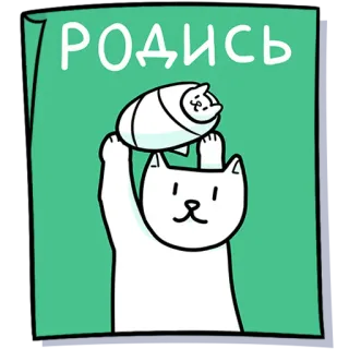 🐣 РОДИСЬ cat, kitten, cute, animal, cartoon, sticker telegram sticker