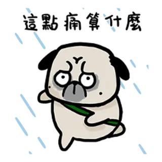 吾皇萬歲 telegram stickers
