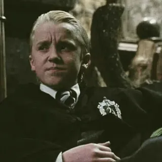 🐾 Draco Malfoy Harry Potter 드레이코 말포이, 해리 포터, 슬리데린, 마법사, 학교, 십대, 소년 telegram sticker