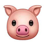 🐷