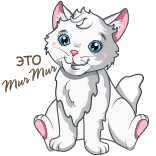 👍 kot, kociak, biały, zwierzę, słodki telegram sticker
