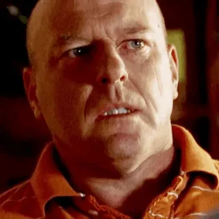 🌓 Hank Schrader Breaking Bad DEA, police, detective, serious, concerned, angry telegram sticker