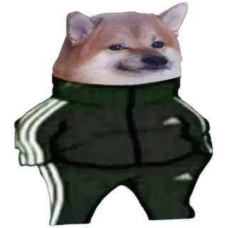 😐 Doge Doge, Cane, Shiba Inu, Meme, Tuta telegram sticker