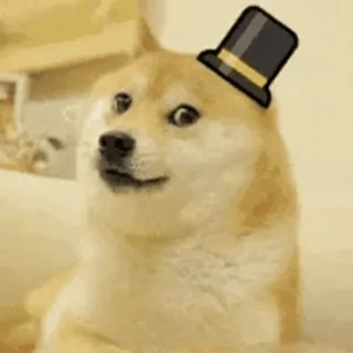 😋 Doge doge, dog, meme, hat, funny, cute, animal telegram sticker
