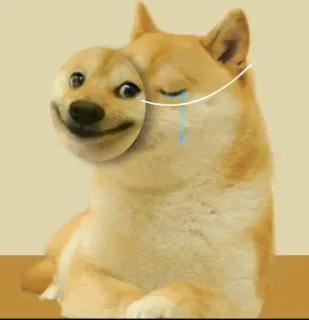 🙂 Doge doge, meme, buồn, vui, khóc, cười, động vật, chó telegram sticker
