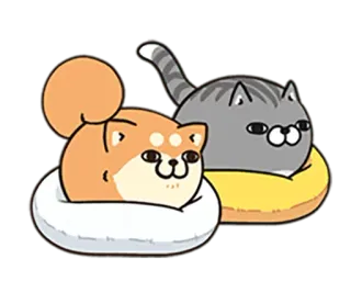 🐶 Hund, Katze, Tiere, süß, Haustier, Freunde telegram sticker