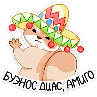 💃 БУЭНОС ДИАС, АМИГО แฮมสเตอร์, เม็กซิกัน, หมวกปีกกว้าง, น่ารัก, สัตว์, การ์ตูน whatsapp sticker