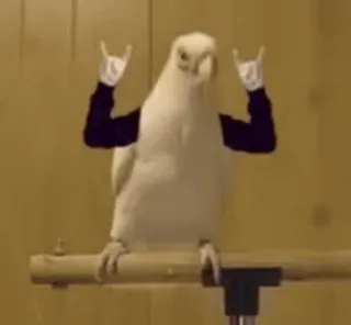 🤘 鳥, オウム, 岩, ハンドサイン, 動物 telegram sticker