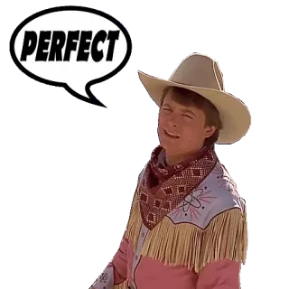 👌 PERFECT perfect, marty mcfly, back to the future, cowboy, movie telegram sticker