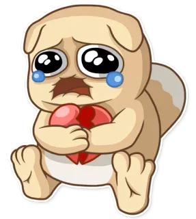 Dumpling whatsapp stickers
