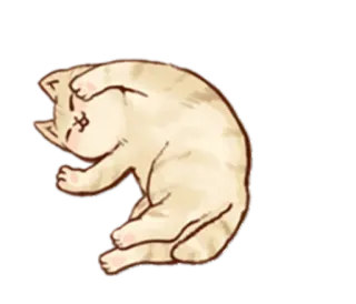 😴 chat, chaton, dormir, mignon, animal, animal de compagnie telegram sticker