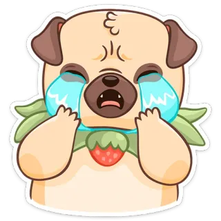 Падди :: @stickroom whatsapp stickers