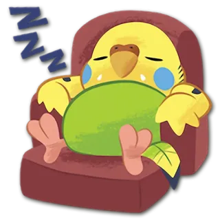 😴 ZZZZ 睡觉, 鸟, 鹦鹉, 卡通, 可爱, 放松, 懒, zzz telegram sticker