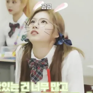 🍑 꼼꼼 kpop, idol, mignon, oreilles de lapin, lunettes telegram sticker
