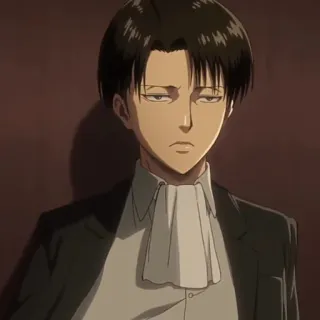⚔ Levi Ackerman Attack on Titan Anime, Karakter, Animasi, Manga, Levi, Levi Ackerman telegram sticker