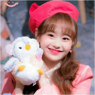 ✖️ 여자, 인물 사진, 베레모, 미소, 펭귄 인형, 귀여운, 젊은 성인, 한국 telegram sticker