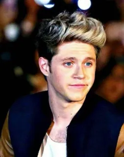 🙂 Niall Horan cantante, celebridad, retrato, One Direction, estrella pop, guapo telegram sticker