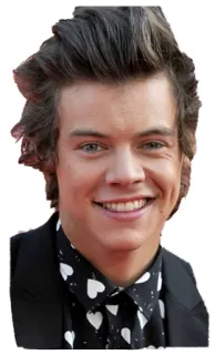 😊 Harry Styles harry styles, singer, celebrity, musician, actor telegram sticker