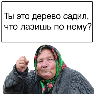 😮 Ты это дерево садил, что лазишь по нему? anciana, enojada, abuela, árbol, pregunta, ruso telegram sticker