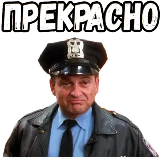 👍 ПРЕКРАСНО ruso, policía, hombre, oficial, cita whatsapp sticker