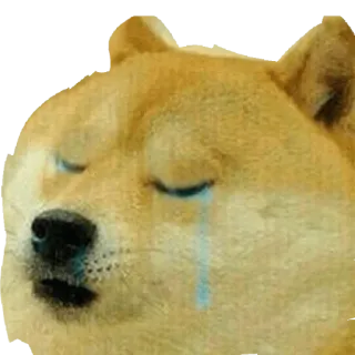 😭 Doge doge, meme, triste, llorando telegram sticker
