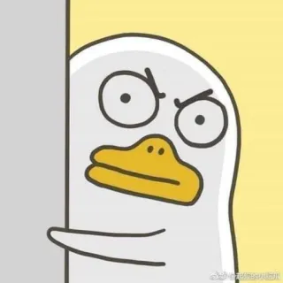 💨 anatra, cartone animato, arrabbiato, meme, carino whatsapp sticker