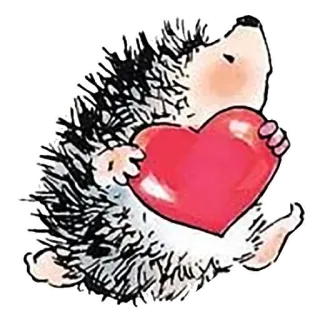❤️ hérisson, cœur, animal, mignon, amour, Saint-Valentin telegram sticker