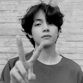 ✌ V BTS, 韩国流行音乐, 歌手, 偶像, V, 和平标志 telegram sticker