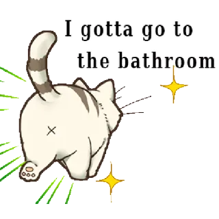 🚻 I gotta go to the bathroom chat, salle de bain, humour, drôle, mignon, animal, mème telegram sticker