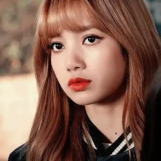 🙁 Lisa K-pop, Lisa, Blackpink, Música, Cantora, Ídolo, Celebridade telegram sticker