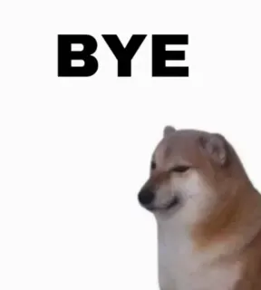 👍 BYE 도지, 개, 밈, 잘 가, 안녕 telegram sticker