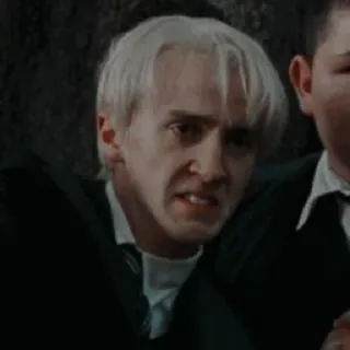 😤 Draco Malfoy Harry Potter Draco Malfoy, Harry Potter, Tom Felton, Slytherin, mago, magia, franzir a testa telegram sticker