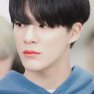 🤟 kpop, thần tượng, nam, chân dung, gương mặt, châu Á, ca sĩ telegram sticker