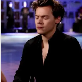 🌸 Harry Styles harry styles, chanteur, célébrité, musicien, pop star telegram sticker