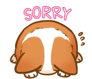 🙇 SORRY dog, apology, cute, sorry, animal, cartoon, butt telegram sticker