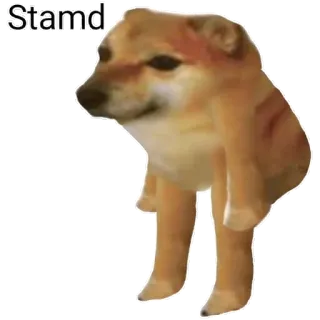 🧍‍♂️ Stamd cane, Cheems, meme, triste, animale telegram sticker