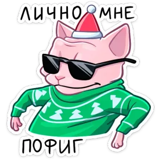 😎 ЛИЧНО МНЕ ПОФИГ Katze, Weihnachten, Sonnenbrille, Pullover, Meme whatsapp sticker