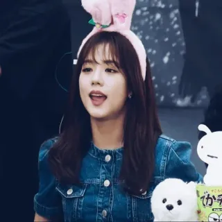🤍 Jisoo kpop, นักร้อง, ไอดอล, jisoo, blackpink, กระต่าย whatsapp sticker