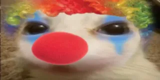 🤡 Katze, Clown, traurig, Make-up, Haustier telegram sticker