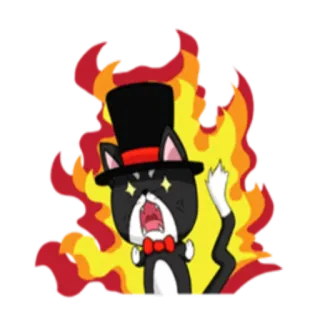 😡 gato, fogo, mágico, cartola, desenho animado, gravata borboleta, chamas telegram sticker