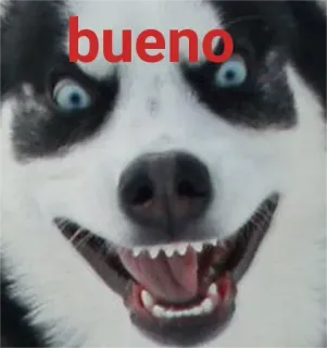🤩 bueno telegram sticker