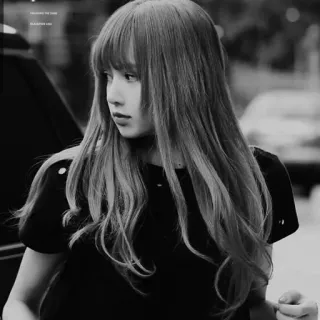 ⛲️ Lisa BLACKPINK LISA kpop, певец, прическа, blackpink, лиса, айдол telegram sticker