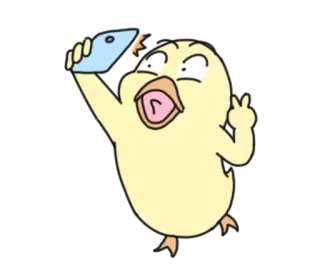 ✌ vịt, biểu tượng hòa bình, chụp ảnh, dễ thương, động vật hoạt hình telegram sticker