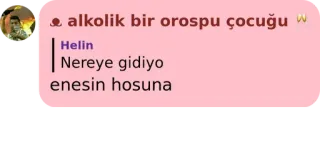 ↔️ alkolik bir orospu çocuğu whatsapp sticker