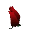 🌹