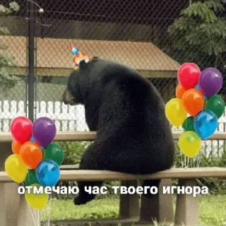 🥳 отмечаю час твоего игнора หมี, ลูกโป่ง, วันเกิด, งานปาร์ตี้, การเฉลิมฉลอง, อารมณ์ขัน telegram sticker