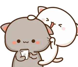 ❤️ kucing, imut, kawaii, peluk, persik, binatang, stiker telegram sticker