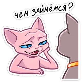 😏 чем займёмся? 고양이, 스핑크스, 귀여운, 웃긴, 질문, 러시아 telegram sticker